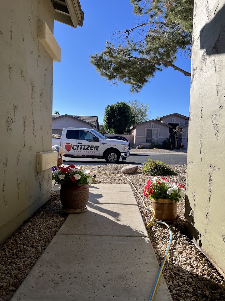 Citizen Pest Control project