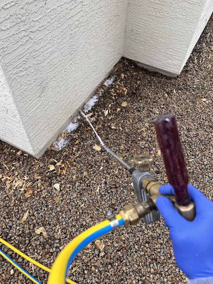 Citizen Pest Control project